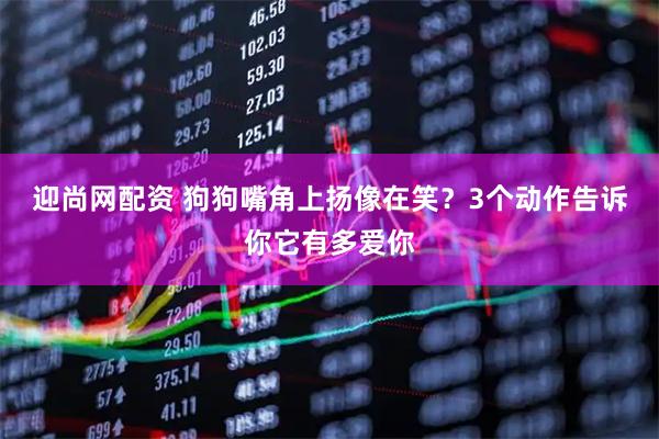 迎尚网配资 狗狗嘴角上扬像在笑？3个动作告诉你它有多爱你