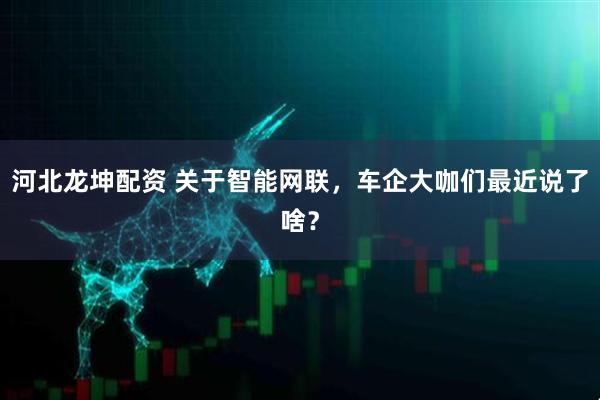河北龙坤配资 关于智能网联，车企大咖们最近说了啥？